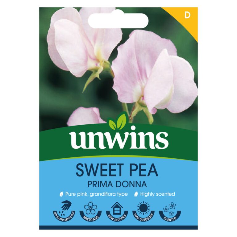 5051618024907 1 Sweet Pea Prima Donna Seeds.jpg